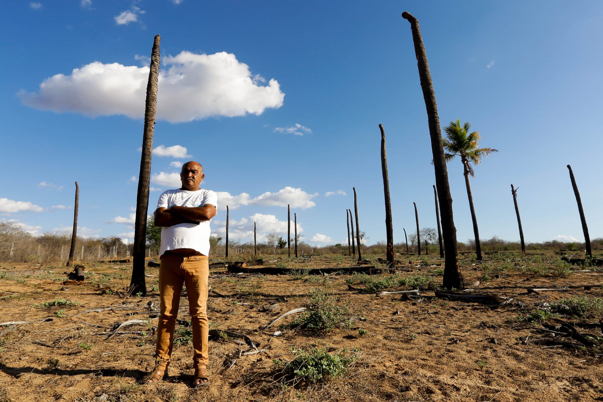 How a Report for the World newsroom is tracking desertification in Brazil